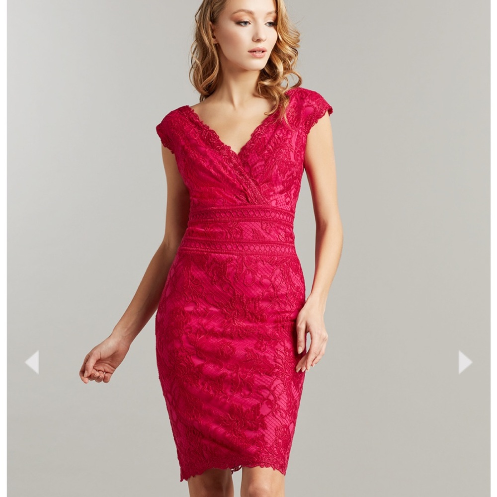 Tadashi Shoji CARIA EMBROIDERED LACE DRESS size 10